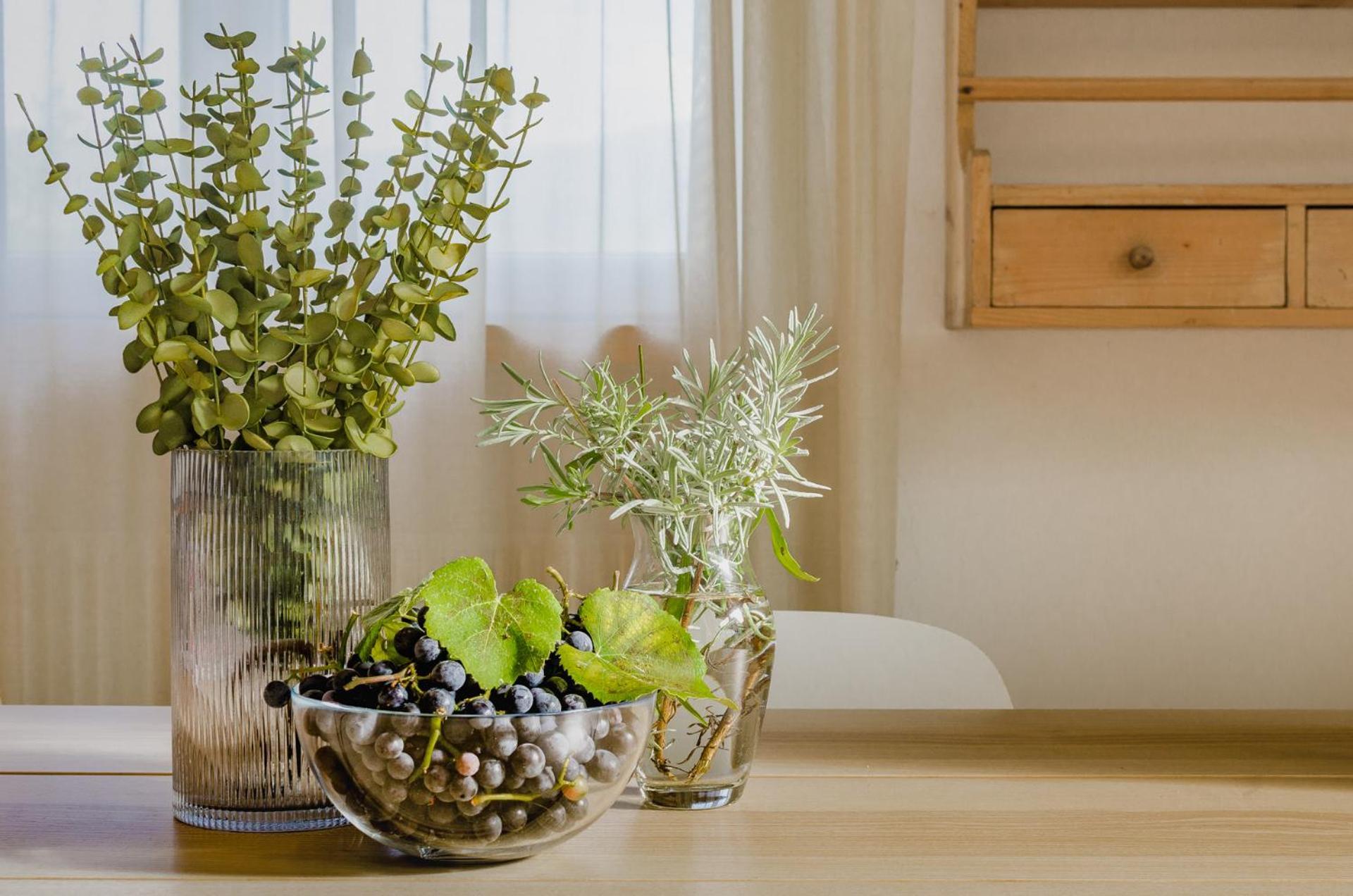 Tassullo Orizzonti D'Anauniaアパートホテル 部屋 写真
